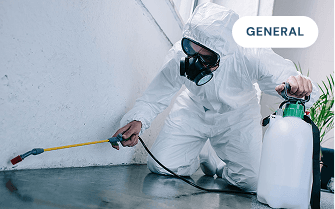 How Much Does Pest Control Cost in Manchester? (Rats, Mice, Bed Bugs & More)